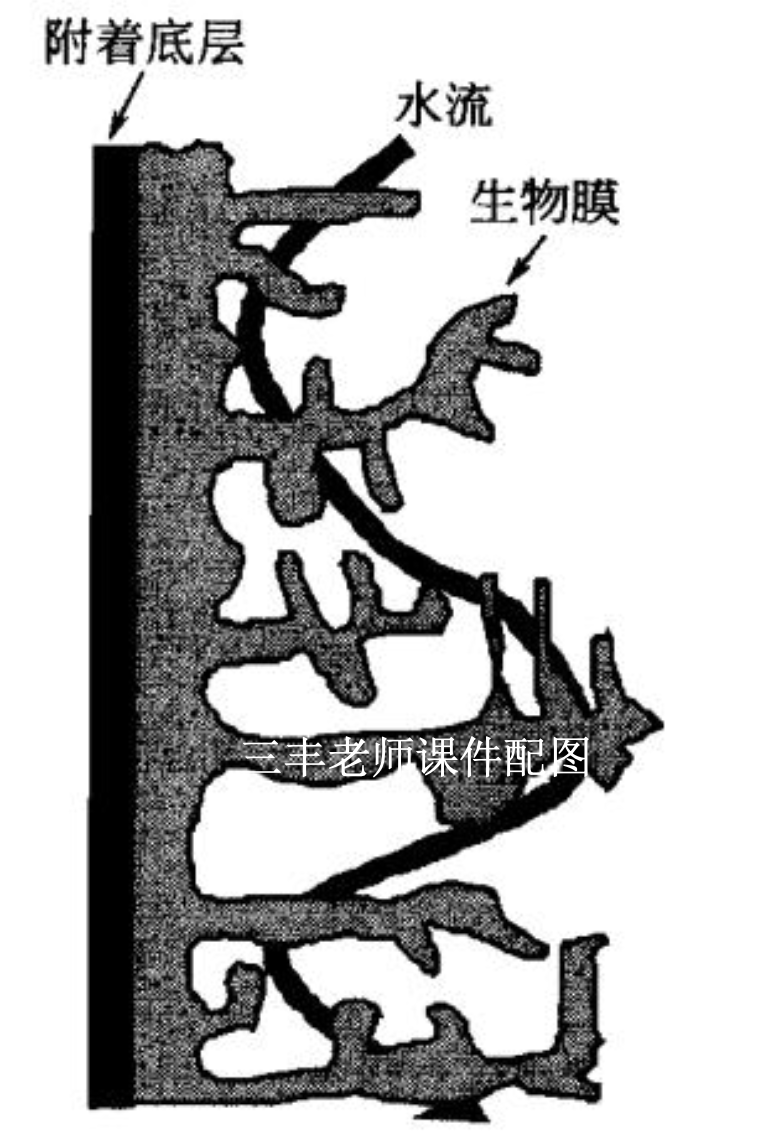 ͼƬ1.png