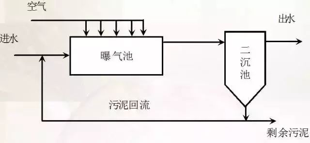 ͼƬ3.png